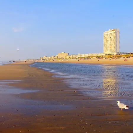 Pensjonat Blankebil Zandvoort