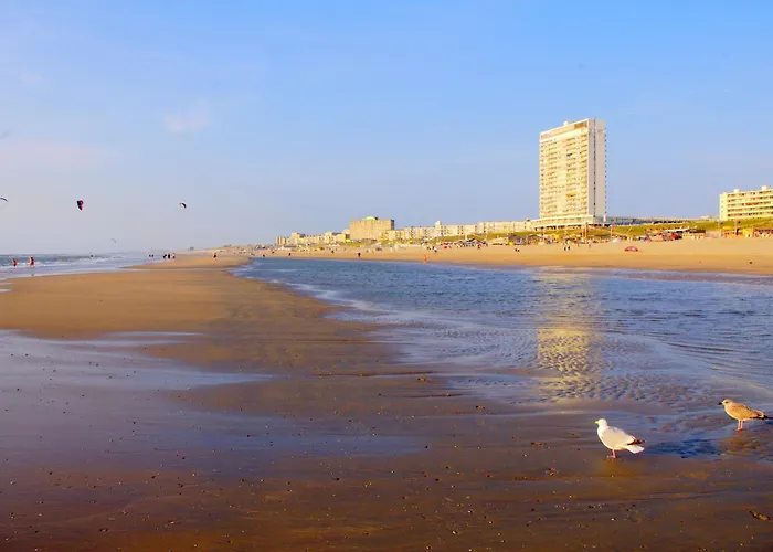 Blankebil 3* Zandvoort